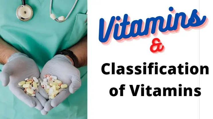 Classification of Vitamins