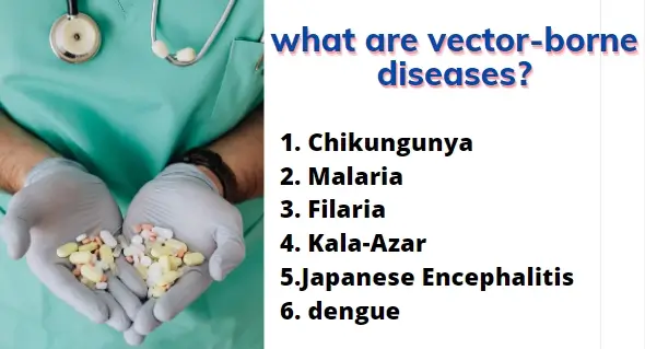 what is vector borne diseases?