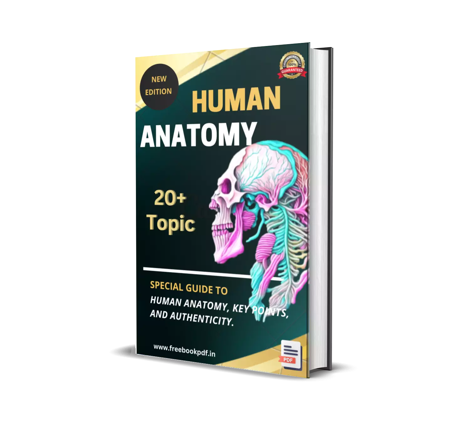 Human Anatomy E-books (20+Topic PDF Bundle)