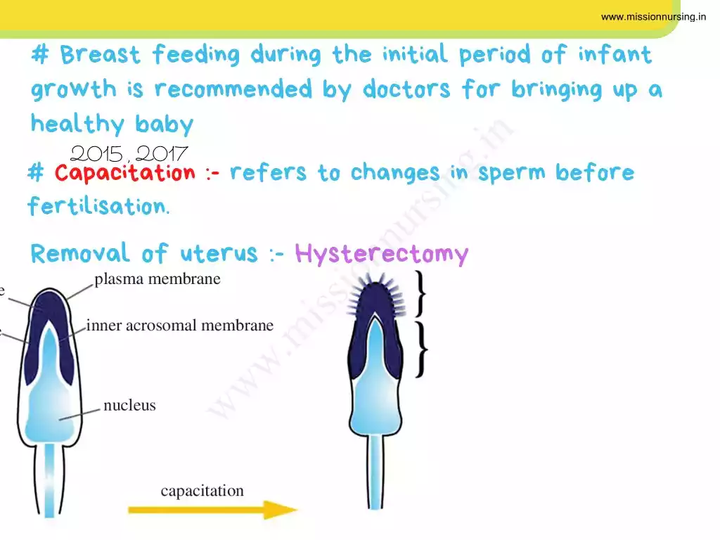 Mission Nursing